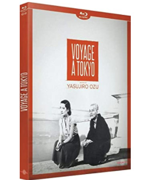 Voyage à Tokyo