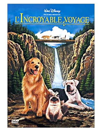 L'Incroyable Voyage