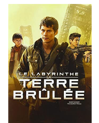 Le Labyrinthe, La Terre brûlée
