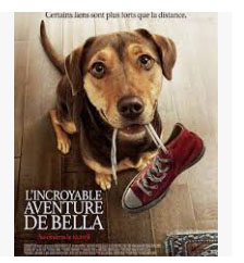 L'Incroyable Aventure De Bella