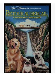 Retour Au Bercail