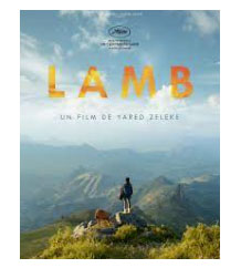 Lamb