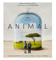 Animal