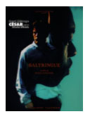 Baltringue
