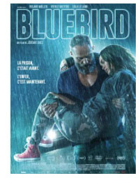 Bluebird