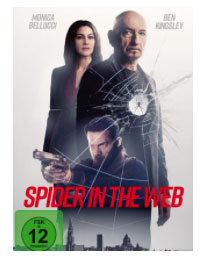 Spider In The Web