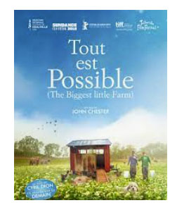 Tout Est Possible