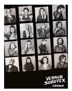 Vernon Subutex