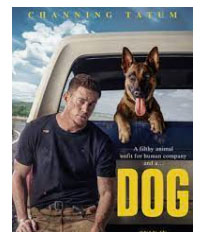 Dog