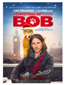 Joyeux Noël Bob