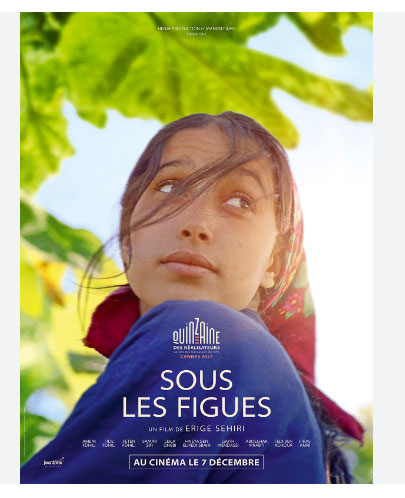 Sous Les Figues